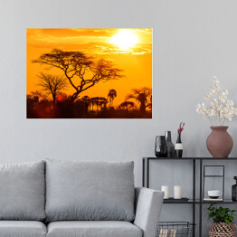 Plakat samoprzylepny Pomarańczowa poświata afrykańskiego zachodu słońca
