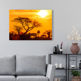 Obraz na płótnie Pomarańczowa poświata afrykańskiego zachodu słońca