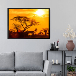 Obraz w ramie Pomarańczowa poświata afrykańskiego zachodu słońca