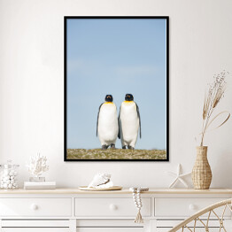 Plakat w ramie Para pingwiny