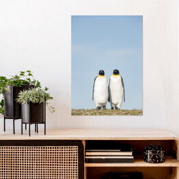 Plakat Para pingwiny