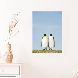 Plakat samoprzylepny Para pingwiny