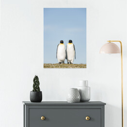 Plakat samoprzylepny Para pingwiny