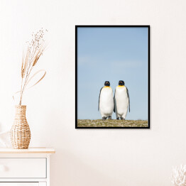 Plakat w ramie Para pingwiny