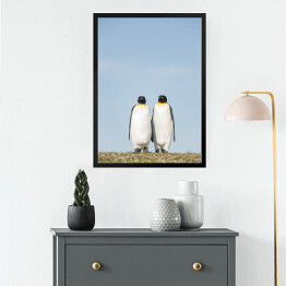 Obraz w ramie Para pingwiny