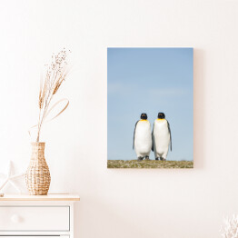 Obraz na płótnie Para pingwiny