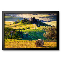 Obraz w ramie Toskania, krajobraz