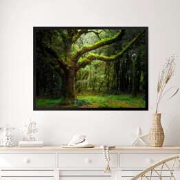 Obraz w ramie Drzewo pokryte mchem
