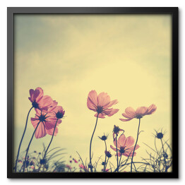 Obraz w ramie Kwiaty polne na łące o zmierzchu