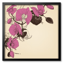 Orchidea w pięknych różowych kolorach