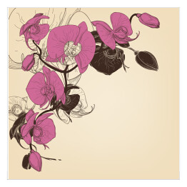 Plakat samoprzylepny Orchidea w pięknych różowych kolorach