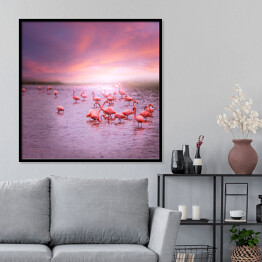 Plakat w ramie Flamingi na tle różowego nieba
