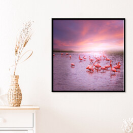 Plakat w ramie Flamingi na tle różowego nieba