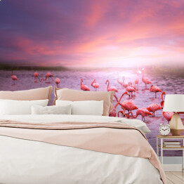Fototapeta Flamingi na tle różowego nieba