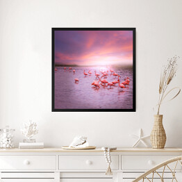 Obraz w ramie Flamingi na tle różowego nieba