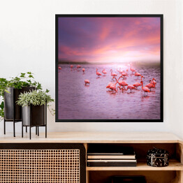 Obraz w ramie Flamingi na tle różowego nieba