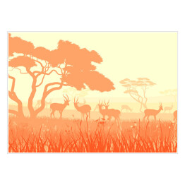 Plakat Fauna i flora Afryki w jasnych kolorach