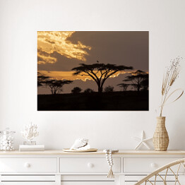 Plakat samoprzylepny Zachód słońca na safari
