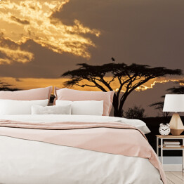 Fototapeta winylowa zmywalna Zachód słońca na safari