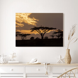 Obraz na płótnie Zachód słońca na safari