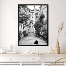 Obraz w ramie Czarno biały krajobraz miejski z kotem