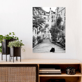 Plakat samoprzylepny Czarno biały krajobraz miejski z kotem