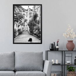 Obraz w ramie Czarno biały krajobraz miejski z kotem