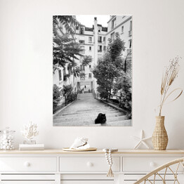 Plakat samoprzylepny Czarno biały krajobraz miejski z kotem