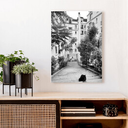 Obraz na płótnie Czarno biały krajobraz miejski z kotem