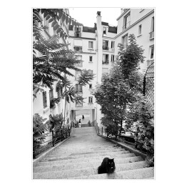 Plakat Czarno biały krajobraz miejski z kotem