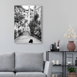 Obraz na płótnie Czarno biały krajobraz miejski z kotem