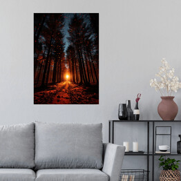 Plakat Zachód słońca w lesie jesienią
