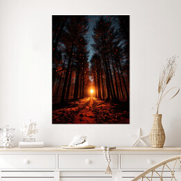 Plakat Zachód słońca w lesie jesienią
