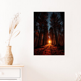 Plakat samoprzylepny Zachód słońca w lesie jesienią