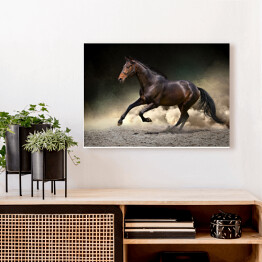 Obraz na płótnie Czarny koń galopujący w kurzu pustyni