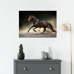 Plakat Czarny koń galopujący w kurzu pustyni