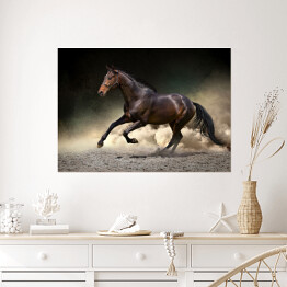 Plakat samoprzylepny Czarny koń galopujący w kurzu pustyni