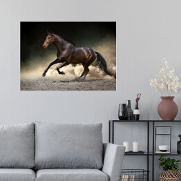 Plakat Czarny koń galopujący w kurzu pustyni