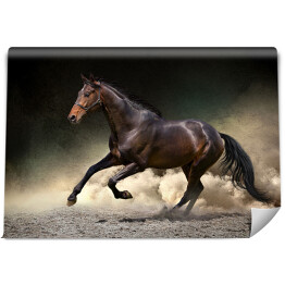 Fototapeta winylowa zmywalna Czarny koń galopujący w kurzu pustyni