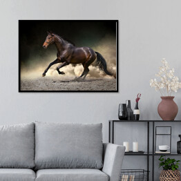 Plakat w ramie Czarny koń galopujący w kurzu pustyni
