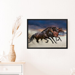Obraz w ramie Konie biegnące w galopie wzdłuż piaszczystego pola