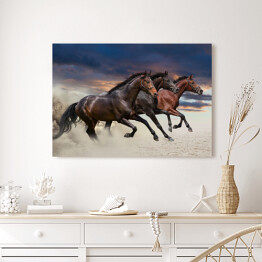Obraz na płótnie Konie biegnące w galopie wzdłuż piaszczystego pola