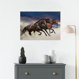 Plakat samoprzylepny Konie biegnące w galopie wzdłuż piaszczystego pola