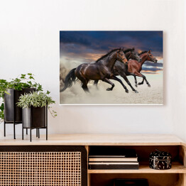 Obraz na płótnie Konie biegnące w galopie wzdłuż piaszczystego pola