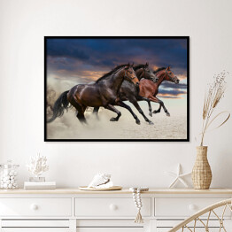 Plakat w ramie Konie biegnące w galopie wzdłuż piaszczystego pola