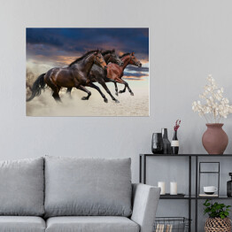 Plakat Konie biegnące w galopie wzdłuż piaszczystego pola