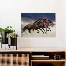 Plakat samoprzylepny Konie biegnące w galopie wzdłuż piaszczystego pola