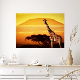 Plakat Żyrafa na sawannie na tle góry Kilimandżaro o za chodzie słońca