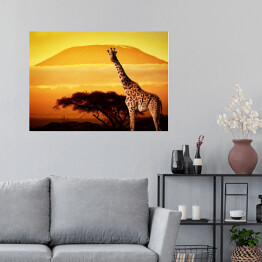 Plakat Żyrafa na sawannie na tle góry Kilimandżaro o za chodzie słońca