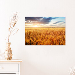 Plakat samoprzylepny Pole pszenicy o zachodzie słońca